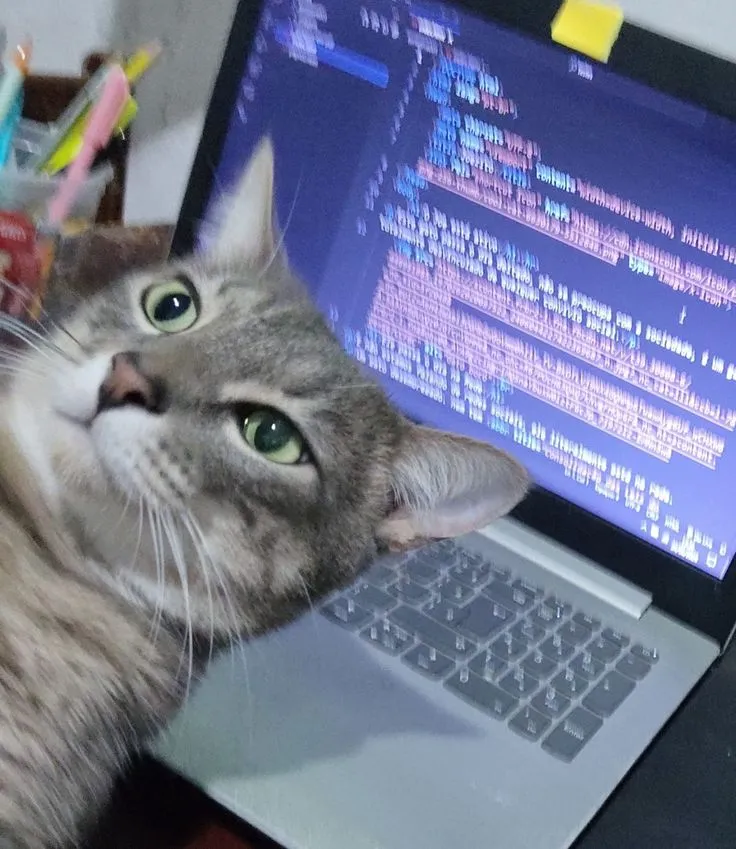 De zero a dev: a história real