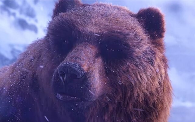 WoW Forever: Blizzard abre mais vagas no beta